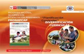 1 “Planificación Curricular” UNIVERSIDAD NACIONAL DE PIURAiversidad DIVERSIFICACIÓN CURRICULAR.