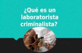 ¿Qué es un laboratorista criminalista?. Laboratorista criminalista Profesionales que cuentan con los conocimientos necesarios para realizar investigaciones.