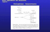 Otros reguladores del desarrollo vegetal Poliaminas: biosíntesis.