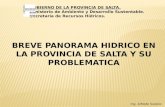 BREVE PANORAMA HIDRICO EN LA PROVINCIA DE SALTA Y SU PROBLEMATICA Ing. Alfredo Sulekic GOBIERNO DE LA PROVINCIA DE SALTA. Ministerio de Ambiente y Desarrollo.