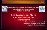 Universidad Nacional Autónoma de México Facultad de Ingeniería Redes de Datos 6.5 Control de Flujo 6.6 Protocolos de Transporte Martínez Coello Luis Joel.