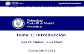 Ingeniería del Conocimiento Tema 1: Introducción José M. Molina - Luis Martí Curso 2010-2011.