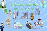 OPCIONES DESPUÉS DE LA E.S.O. Orientación 3º E.S.O. Curso 14/15.