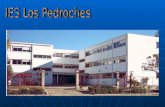 ORIENTACIÓN ACADÉMICA Y PROFESIONAL 4º E.S.O. Departamento de Orientación Mª Luna de Torres Fernández.