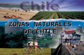 ZONAS NATURALES DE CHILE. NORTE GRANDE Denominamos Norte Grande a la sección del país que se extiende desde el límite con el Perú hasta el río Copiapó.