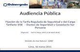 Audiencia Pública Fijación de la Tarifa Regulada de Seguridad y del Cargo Tarifario SISE – Ductos de Seguridad y Gasoducto Sur Peruano (Vigencia: Del 01.