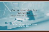 Como aprenden las personas Perspectivas de la neurociencia M.Sc. Miriam Lopez Lopez Junio, 2014.