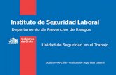 Unidad de Seguridad en el Trabajo Instituto de Seguridad Laboral Gobierno de Chile - Instituto de Seguridad Laboral Departamento de Prevención de Riesgos.