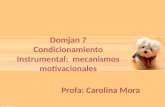 Domjan 7 Condicionamiento Instrumental: mecanismos motivacionales Profa: Carolina Mora.