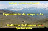 Salud intercultural Experiencia de apoyo a la Medicina Kallawaya en Apolobamba.