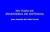 NO TODO ES INGENIERIA DE SISTEMAS. Juan Antonio del Valle FLores.