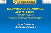 RELEVAMIENTO DE ANIMALES ATROPELLADOS Ruta Nacional Nº 12 (Km 1606 a 1628,5) Desde lago Urugua-í hasta Arroyo M´Bocay Desde marzo de 2008 a marzo de 2009.