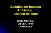 Estudios de Impacto Ambiental: Estudio de caso Emilio Menvielle UNICEN, Tandil Octubre 2008.