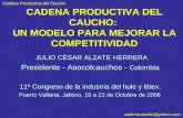 Cadena Productiva del Caucho c adenacaucho@yahoo.com 1 CADENA PRODUCTIVA DEL CAUCHO: UN MODELO PARA MEJORAR LA COMPETITIVIDAD JULIO CÉSAR ALZATE HERRERA.