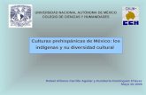 Culturas prehispánicas de México: los indígenas y su diversidad cultural UNIVERSIDAD NACIONAL AUTÓNOMA DE MÉXICO COLEGIO DE CIENCIAS Y HUMANIDADES Rafael.