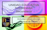 UNIDAD EDUCATIVA TORREMAR Secundaria Actividad Extracurricular “Técnicas de estudio”