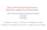 Bases moleculares de la tolerancia a disolventes orgánicos en Pseudomonas A. Segura, E. Duque, F. Junker, G. Mosqueda, A. Rojas, P. Godoy, A. Hurtado,