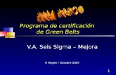 1 Programa de certificación de Green Belts V.A. Seis Sigma – Mejora P. Reyes / Octubre 2007.
