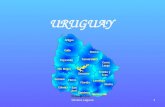 Silvana Laguna1 URUGUAY. Silvana Laguna2 * Uruguay está formado por 19 Departamentos. * Limita al noroeste con Brasil, al oeste con Argentina y tiene.