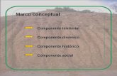 Marco conceptual Componente histórico Componente dinámico Componente social Componente territorial.
