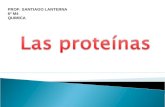 PROF: SANTIAGO LANTERNA 6º M4 QUIMICA.  La palabra proteína viene del griego protos que significa "lo más antiguo, lo primero”.  Las proteínas son biopolímeros.