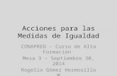 Acciones para las Medidas de Igualdad CONAPRED - Curso de Alta Formación Mesa 3 – Septiembre 30, 2014 Rogelio Gómez Hermosillo M.