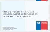 Plan de Trabajo 2015 - 2025 Inclusión Social de Personas en Situación de Discapacidad Cristian Bowen Garfias Subsecretario de Transportes 17 de marzo de.