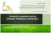 Seminario “El sector arrocero Uruguayo. Desafíos para la competitividad” 16 de junio de 2015 Ing. Agr. Hernán Zorrilla Vicepresidente Asociación Cultivadores.