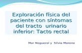 Exploración física del paciente con síntomas del tracto urinario inferior: Tacto rectal Mar Noguerol y Silvia Moreno.