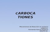 C ARBOCATI ONES Mecanismos de Reacción en química orgánica Fernando García Guijarro GRUPO 81.