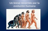Un breve recorrido por la evolución humana. Clasificación de la especie humana como organismo animal Los seres vivos se clasifican jerárquicamente dentro.