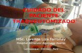 CUIDADO DEL PACIENTE TRAQUEOTOMIZADO MSc. Lorenza Liza Farroñay Hospital Almanzor Aguinaga Asenjo mllf1210@hotmail.com Lambayeque - Chiclayo - Perú.