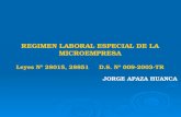 REGIMEN LABORAL ESPECIAL DE LA MICROEMPRESA Leyes Nº 28015, 28851 D.S. Nº 009-2003-TR JORGE APAZA HUANCA.