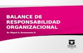 BALANCE DE RESPONSABILIDAD ORGANIZACIONAL Dr. Miguel A. Bustamante U.