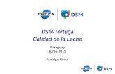 DSM-Tortuga Calidad de la Leche Paraguay Junio 2015 Rodrigo Costa.