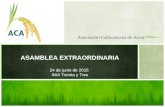 Asociación Cultivadores de Arroz ASAMBLEA EXTRAORDINARIA 24 de junio de 2015 INIA Treinta y Tres.