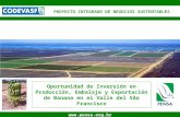 1  Oportunidad de Inversión en Producción, Embalaje y Exportación de Banana en el Valle del São Francisco PROYECTO INTEGRADO DE NEGOCIOS.