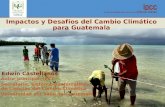 Impactos y Desafíos del Cambio Climático para Guatemala Edwin Castellanos Autor principal, IPCC Secretario, Sistema Guatemalteco de Ciencias del Cambio.
