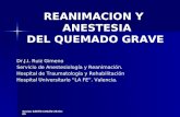 Sesion SARTD-CHGUV-26-04-05 REANIMACION Y ANESTESIA DEL QUEMADO GRAVE Dr.J.I. Ruiz Gimeno Servicio de Anestesiología y Reanimación. Hospital de Traumatología.