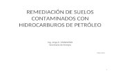 REMEDIACIÓN DE SUELOS CONTAMINADOS CON HIDROCARBUROS DE PETRÓLEO Ing. Jorge E. MANGOSIO Secretaría de Energía Marzo 2013 1.