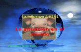 La Influenza A H1N1 La situación en el mundo Prof. Antonio Torrijos García.