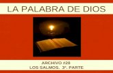 LA PALABRA DE DIOS ARCHIVO #28 LOS SALMOS. 3ª. PARTE.