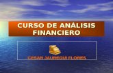 CURSO DE ANÁLISIS FINANCIERO CESAR JAUREGUI FLORES CESAR JAUREGUI FLORES.
