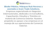Binder México, Márquez Ruiz Nevarez y asociados e Icom Trade Solutions, Empresas especializada en Negocios Internacionales, dedicada a la Consultoría,