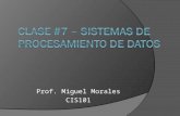 Prof. Miguel Morales CIS101. Componentes de un Sistema de Computadoras 1. Hardware 2. Software a. Sistemas Operativos b. Programas de Aplicación Comercial.