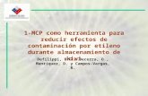 1-MCP como herramienta para reducir efectos de contaminación por etileno durante almacenamiento de kiwi Defilippi, B.G., Becerra, O., Manríquez, D. y Campos-Vargas,