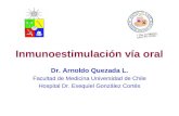 Inmunoestimulación vía oral Dr. Arnoldo Quezada L. Facultad de Medicina Universidad de Chile Hospital Dr. Exequiel González Cortés.