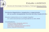 Conducta diagnóstica, terapéutica y seguimiento de la Lesión Intraepitelial Cervical de Alto Grado (H-SIL) Estudio multicentrico en el estado Español en.