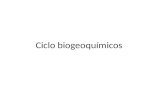 Ciclo biogeoquímicos. Elementos biogeoquímicos. El término biogeoquímico está compuestos de tres palabras : Bio _ vida Geo_ tierra Químico_ se usa para.