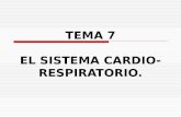 TEMA 7 EL SISTEMA CARDIO- RESPIRATORIO.. 1.INTRODUCCIÓN.  El conocimiento por parte del profesional de la actividad física del sistema cardio- respiratorio.